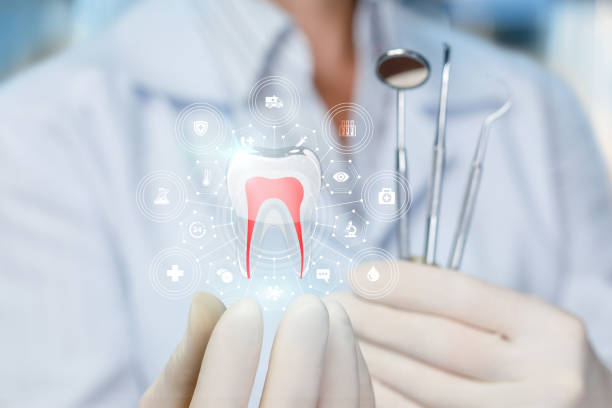 Professional  Holistic Dental Services in Manhasset, NY